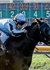  ??  ?? Tiona Comignaghi rode Courte Zarindi to win the Warstep Stakes.