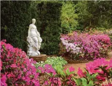  ?? Rick Gardner ?? Bayou Bend, with its 14 acre-garden awash in spring blossoms, is always a popular stop along the Azalea Trail tour.