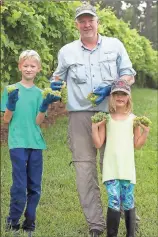  ??  ?? LEFT: Billy Newby (center) with his son Rearden Newby, 9, and daughter Kieran Ellis Newby, 6, show off some of their grapes after harvesting them to be sent to wineries in Bremen or Villa Rica.BELOW: Five different types of grapes are planted at the Newby Farm and Vineyard off Billy Pyle Road.