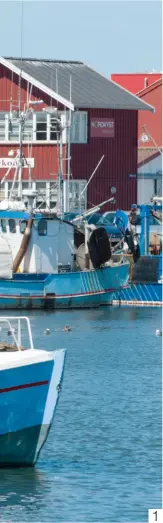  ??  ?? 1. Les origines du port de pêche de Gilleleje remontent au siècle. Il est situé à l’extrémité nord de l’île de Seeland.
2. La petite sirène du port de Copenhague, inspirée du conte éponyme de Hans Christian Andersen, fut maintes fois vandalisée :...