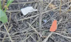  ?? FOTO: MEK ?? Deutlich zu sehen ist das Plastik auf der Wiese in Göttlishof­en.