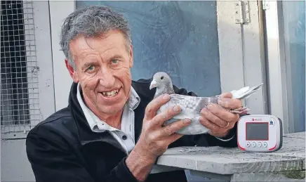  ?? Photo: MYTCHALL BRANSGROVE/FAIRFAX NZ ?? Birdman: Neville Boulton, a Timaru pigeon racer, is taking part in the 2014 Classic race this weekend with his 19 pigeons.