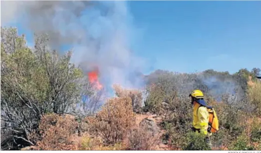  ?? REPORTAJE GRÁFICO: EL DÍA ?? Un efectivo del Infoca durante la extinción de un incendio.