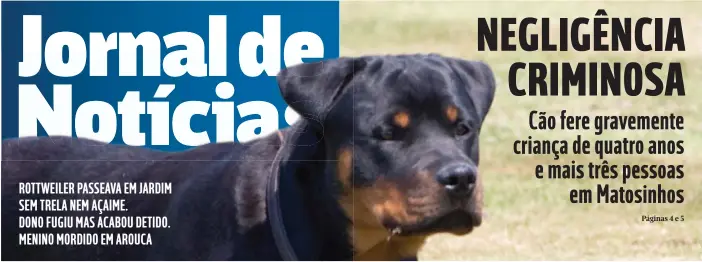  ??  ?? ROTTWEILER PASSEAVA EM JARDIM SEM TRELA NEM AÇAIME. DONO FUGIU MAS ACABOU DETIDO. MENINO MORDIDO EM AROUCA