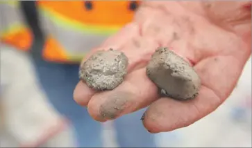  ?? Al Seib Los Angeles Times ?? A WORKER holds concrete that has materials from Polaris’ quarry in Canada. “The aggregate that’s locally mined is pretty poor quality in terms of its sheer strength,” said Todd Lamberty, a Webcor project manager.