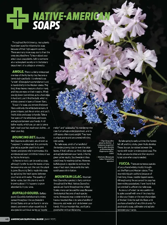 NATIVEAMERICAN SOAPS PressReader