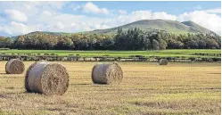  ??  ?? The outlook for the farmland market in 2018 remains positive, according to Savills.