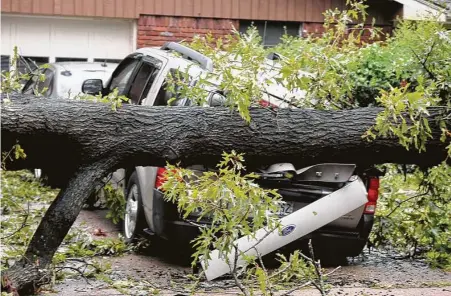  ?? David Hopper / Contributo­r ?? Trim branches or cut down potentiall­y hazardous trees before storms roll through.