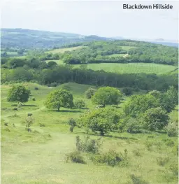  ??  ?? Blackdown Hillside