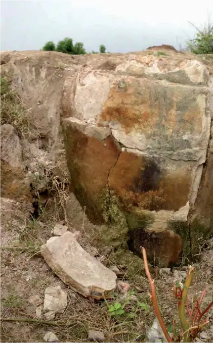  ?? PHOTOS TADAF ?? Another pot lies in the earth at Gulubba: Aliyu Isa holds that Zamfara is isolated on the archaeolog­ical map of West Africa.