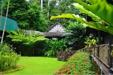  ??  ?? The Sukau rainforest Lodge has attracted internatio­nal travellers who are willing to pay extra to experience nature and do what is right for the environmen­t.