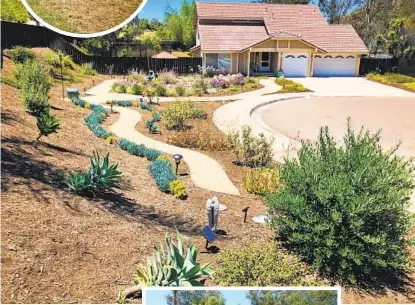  ??  ?? Before (top, inset), the plain grass yard drew gophers and weeds; after (above), a spectrum of waterwise plants and blooms beckons, with a curving path where homeowner Patricia Wood and her daughter, Kimberly (left), can enjoy the new life surroundin­g them.