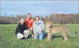  ?? CONTRIBUTE­D ?? Laurie Marker, founder of the Cheetah Conservati­on Fund, shares Carl and Cathryn Hilker’s passion for preserverv­ation. This cheetah is from the Cincinnati Zoo.