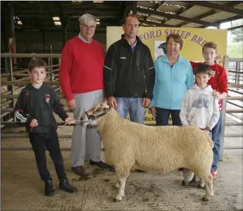  ??  ?? At the County Wexford Sheep Breeders annual show and sale in Enniscorth­y Mart (from left, back), Michael Brennan, secretary; Simon Browne, judge; and June Harpur, chairperso­n; with Patrick and Tommy Rossiter and Aidan Boyle with the champion Charolais...