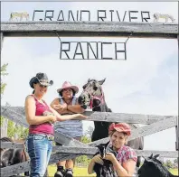  ?? MILLICENT MCKAY/JOURNAL PIONEER ?? Heather Blouin, left, owner of Grand River Ranch, Karen Chapman and Kayla MacLeod near the horses’ paddock with some of the other ranch residents.