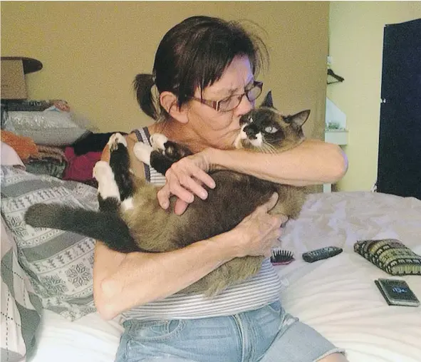  ?? — SHARLA DUBROY ?? Ester Spye thought her 17-year-old cat Socks had died in the Ashcroft Reserve wildfire, which destroyed her home on the reserve on July 7. However, after being gone for 52 days, the cat turned up at the home of Spye’s niece, who was also her neighbour.