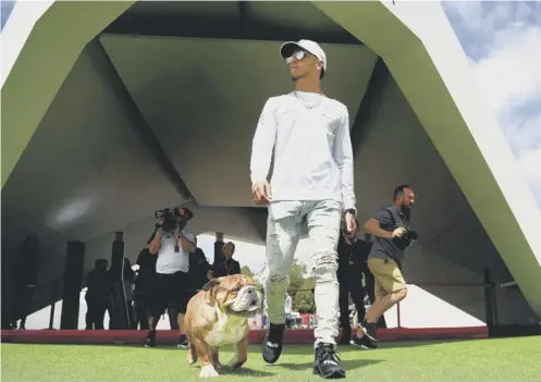  ??  ?? 0 Lewis Hamilton walks with his pet bulldog Roscoe in the paddock at the Circuit de Catalunya ahead of Sunday’s Spanish Grand Prix.