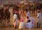  ??  ?? 12. Indien, Rajasthan. Der grösste Kamelmarkt in Pushkar erstreckt sich über 5 Tage. Camel Festival, vom 4. bis 12. November 2019.