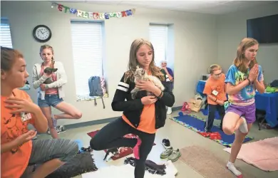  ??  ?? Izzy Soens, 12, holds a kitten in a pose in a yoga session with kittens during Pet Refuge’s summer camp in South Bend, Ind. Pet Refuge holds a summer camp where kids are introduced to various aspects of animal care in South Bend.