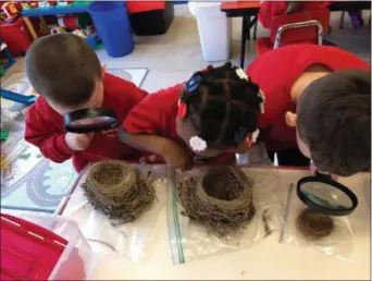  ?? PHOTO PROVIDED ?? Sacred Heart School’s Pre K and first-grade students have been studying the life cycle of birds and butterflie­s.