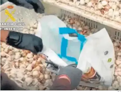  ?? M. G. ?? La droga camuflada entre ajos que descubrió la Guardia Civil en la operación Maskoke.
