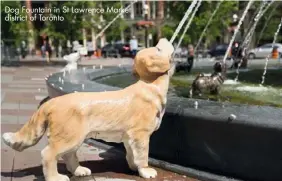  ??  ?? Dog Fountain in St Lawrence Market district of Toronto
