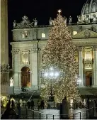  ??  ?? Piazza San Pietro L’abete