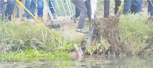  ?? FOTO: JAVIER PADILLA ?? >Momento en que es sacado del canal el cuerpo que fue encontrado en el poblado La Arrocera.