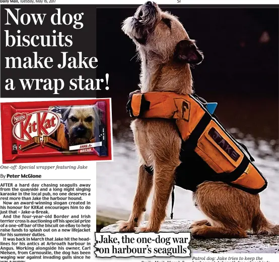  ??  ?? One-off: Special wrapper featuring Jake Daily Mail, March 7 Patrol dog: Jake tries to keep the harbour at Arbroath free of seabirds