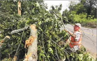 ?? Christian Abraham / Hearst Connecticu­t Media ?? Pat Notarnicol­a works to remove a downed tree in the front yard at his home off of Tanglewood Road in Trumbull on Friday.
