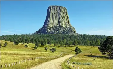  ?? ?? ABOVE:
Devil’s Tower, Wyoming, is in fact the stump of an ancient giant tree, seen here surrounded by tall “bushes”.