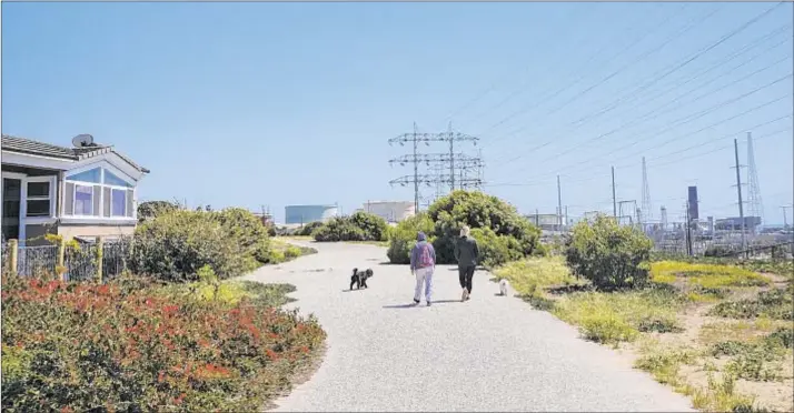  ?? Jay L. Clendenin Los Angeles Times ?? “THE DUNES” at the western edge attracts walkers and their dogs. Close to Westside employment centers, the city offers short commutes and Metro Rail access.