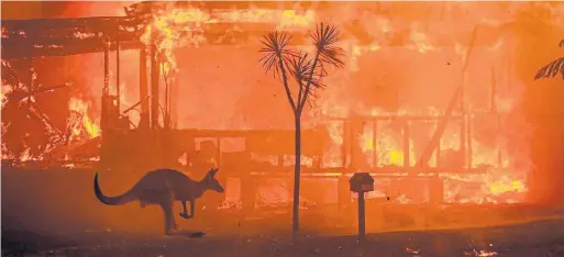  ?? INSTAGRAM @MATTABBOTT­PHOTO ?? Photojourn­alist Matthew Abbott watched fire destroy a town in New South Wales in 2019 and tweeted this photograph of a burning house and a fleeing kangaroo.