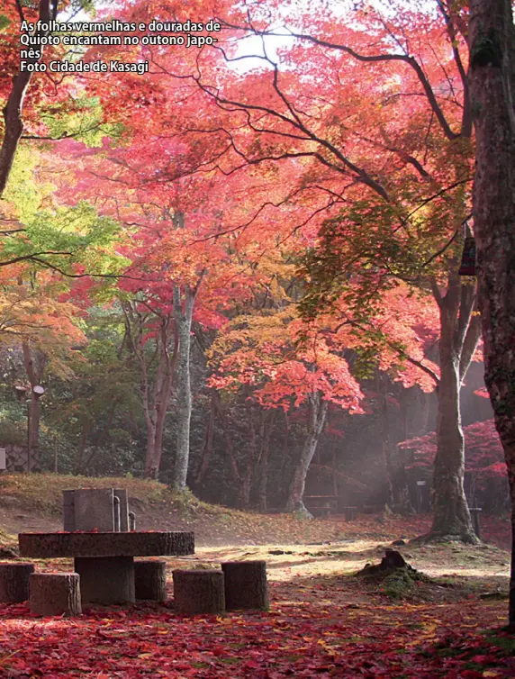  ?? Foto Cidade de Kasagi ?? As folhas vermelhas e douradas de Quioto encantam no outono japonês