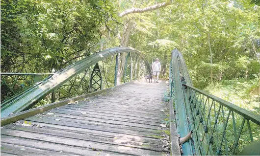  ?? COURTESY PHOTOS ?? Millie and Jeff Holland on an old iron “bowstring arch truss” footbridge on the Catoctin Furnace Trail.