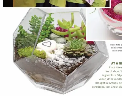  ??  ?? Plant Nite projects use succulents, also sometimes called “water storage plants.” They meet their human owners more than halfway.