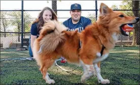  ?? JACKIEMOLL­OY / THE NEWYORK TIMES ?? Angie and Ed Camus with their puppy,.