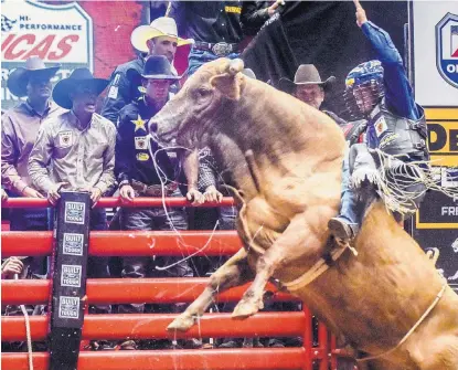  ?? ROBERTO E. ROSALES/JOURNAL ?? Kaique Pacheco holds on while riding Naughty List during Friday’s action at the Pit. Naughty List was contracted to the Ty Murray Inviationa­l by Texico native and former rider L.J. Jenkins.