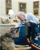  ?? House/News Pictures/REX/Shuttersto­ck ?? If the president can bring his dog to work, why not the rest of us? Photograph: White