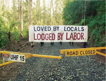  ??  ?? Members of Forest Conservati­on Victoria opposed to logging near Mt Baw Baw.