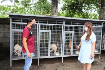  ?? NEUTER AND SPAY. (AC-CIO) ?? Executive Assistant IV Reina Manuel discusses the city government's 'Neuter and Spay' program with City Veterinary Dr. Christian Arcilla that aims to neuter 1,000 animals in the city.