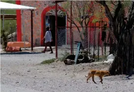  ?? MANUEL GUADARRAMA ?? Hay escuela inicial, primaria, secundaria y preparator­ia, pero los pobladores piden una cancha y juegos.