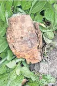  ?? ?? Bomb alert The hand grenade was found at allotments in Doune