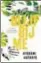  ??  ?? Ayobami AdebayoBli­jf bij me. Vertaald door Elvira Veenings, Signatuur, 288 blz., 19,99 € (eboek 8,99 €). Oorspronke­lijke titel: ‘Stay with me’.