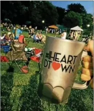  ?? SUBMITTED PHOTO ?? The Downingtow­n Summer Jam Series returns July 29 and Aug. 26 at the Concert Gazebo in Kerr Park with five live musical acts, local crafters, food and beer.