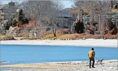  ?? SEAN D. ELLIOT/THE DAY ?? A man walks his dog along the beach Thursday at Rocky Neck State Park in East Lyme.