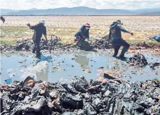  ?? APG ?? LIMPIEZA. Dos policías participan en la limpieza del Uru Uru que fue promovida por el ecoturista francés Alexis Dessard.