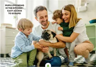  ?? ?? PUPS LOVE BEING IN THE KITCHEN – EASY ACCESS TO SCRAPS!