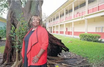  ?? AMY BETH BENNETT/STAFF PHOTOGRAPH­ER ?? Paula Newman-Rocker, 70, a co-founder of the Carver High School Historic Preservati­on Society who graduated in 1966, stands in front of the Delray Full Service Center at 301 SW 14th Ave. “We decided we had to do something,” she said.