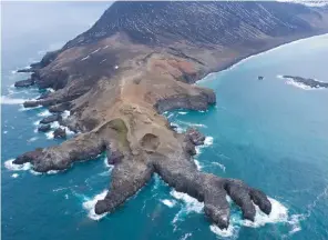  ??  ?? Drone flight above the chinstrap colony on Nattriss Point, Saunders Island